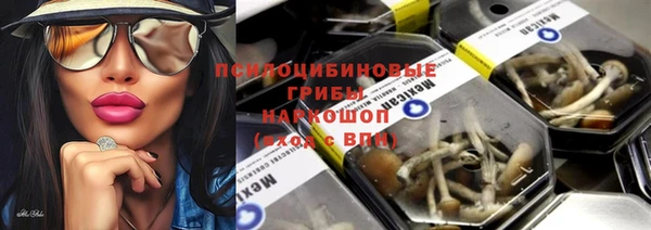 дживик Нефтекумск
