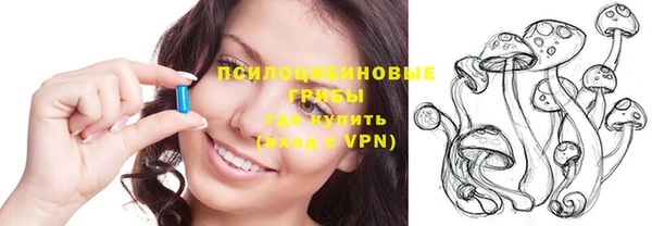 ALPHA PVP Новозыбков