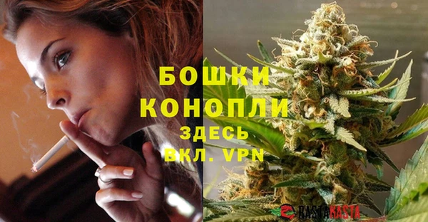 ALPHA PVP Новозыбков