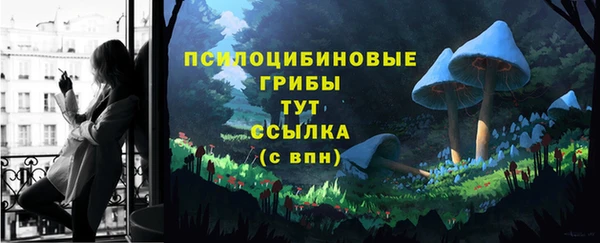 ALPHA PVP Новозыбков