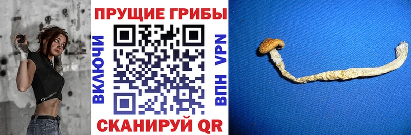 Галлюциногенные грибы MAGIC MUSHROOMS  кракен ONION  Лихославль 